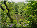 The Bongs, Lymm Upper Dam