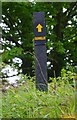 R6779 : Signpost at start of track, by junction with road to Ballylaghnan, Co. Clare by P L Chadwick