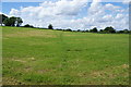 SE2468 : Footpath across a field near Risplith by Bill Boaden