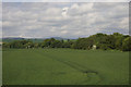 Farmland, East Marcus, near Finavon