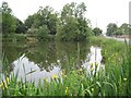 Launton: Pond on Station Road