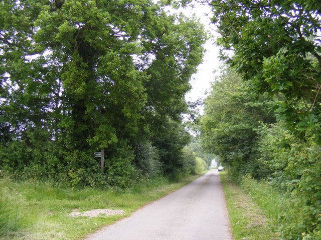Primrose Lane & footpath to Further Green Farm &  Clay Common Lane