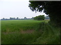 TM4682 : Footpath to Further Green Farm & Clay Common Lane by Geographer