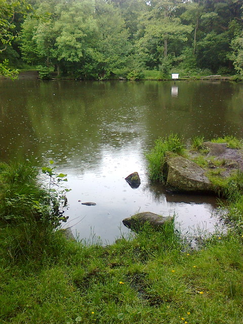 Pond in Shining Cliff woods