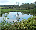 Reflection on a pond, Goytre