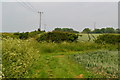 Field edge footpath near Welton Hythe