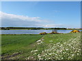 Looking over Loirston Loch