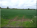 Farmland, Kenwick Hill