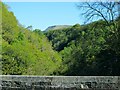 View up Nant Gwrelych from viaduct at Pont Walby