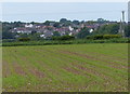 View north towards Ibstock