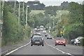 Chelston : The A38