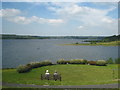 On the south shore of Roadford Reservoir