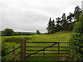 A footpath leading to Abbey House