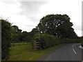 A public footpath near Ashbrook House