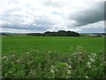 The roofs of Greenwick Farm