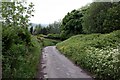 Minor road near Bowden Head