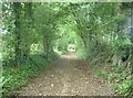 Footpath leading away from North Road