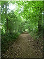 Footpath near Brandfold