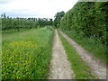 Footpath to Bockingfold Farm