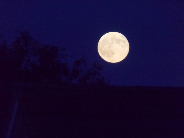 Northbourne: Super moon over Etches Close