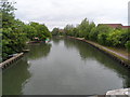 The River Lee near Rye House