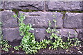 Benchmark on Station Road river bridge