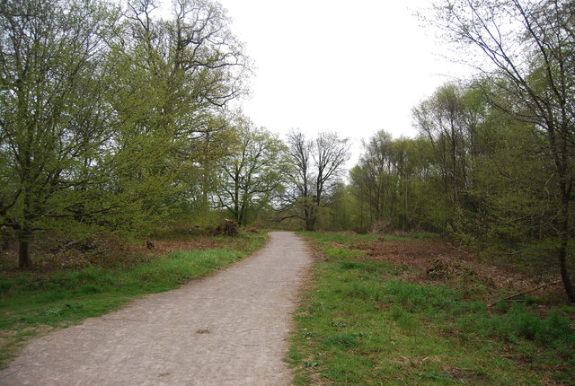 Track in Cobham Wood © N Chadwick cc-by-sa/2.0 :: Geograph Britain and ...