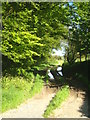 A farm track at Hendawle Farm on the edge of Davidstow Moor