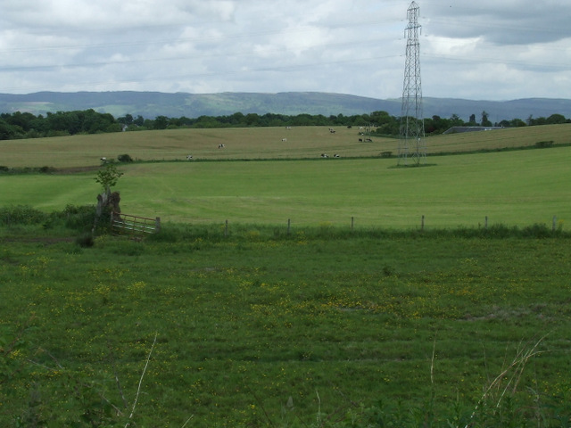 Fields near Crosslee