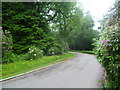 Driveway to Benenden School