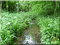 Stream in Nine Acre Wood