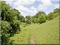 Footpath to Stourton