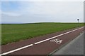 NZ3865 : Cycle path, Coast Road by Richard Webb