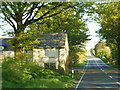 The A395 at Cold Northcott Farm