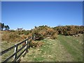 Old Wooler to Ingram road