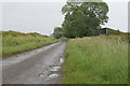 Road past Totmoor Farm