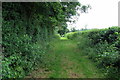 Path towards Shire Lane