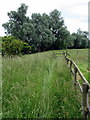 Path to Rings Wharley Farm