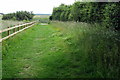 Footpath into the university