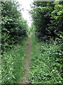 Milton Keynes Boundary Walk along Shire Lane