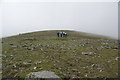 NY4609 : The summit ridge of Harter Fell by Bill Boaden