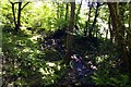 The stream flows under Yearnor Mill Bridge