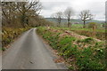 Country road near Allt Newydd