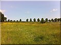 Farmland near Chapel Brampton