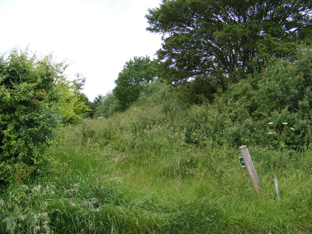 Footpath to Mill Lane