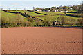 View to Llanfilo