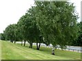 Green space on Trafford Wharf Road