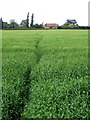 Footpath to Gumbrills Farm