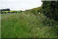 Bridleway down to the Chicheley Road