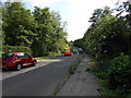 Bridge Across River Len (1)